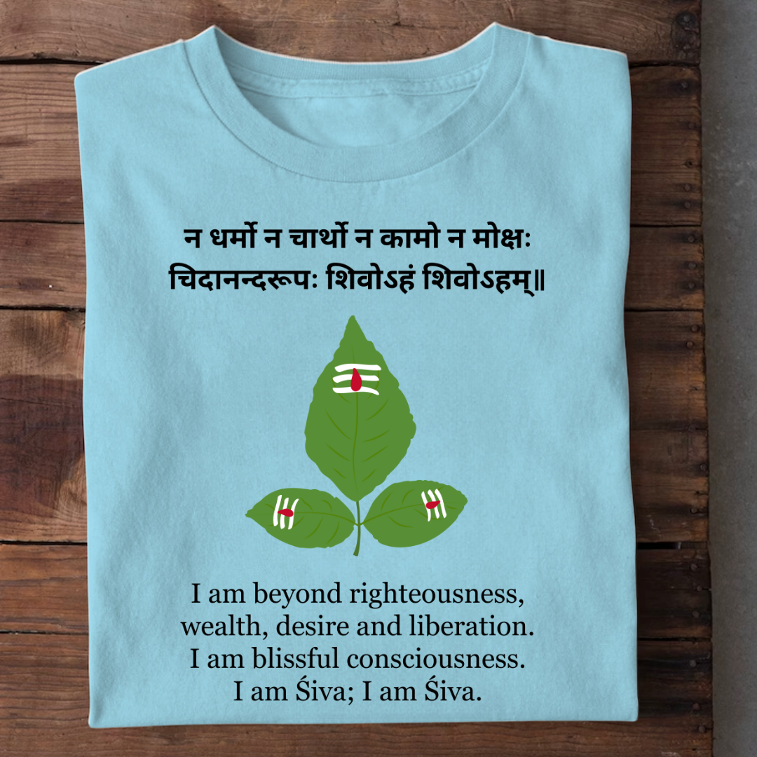 I AM DESIRE I AM SIVA