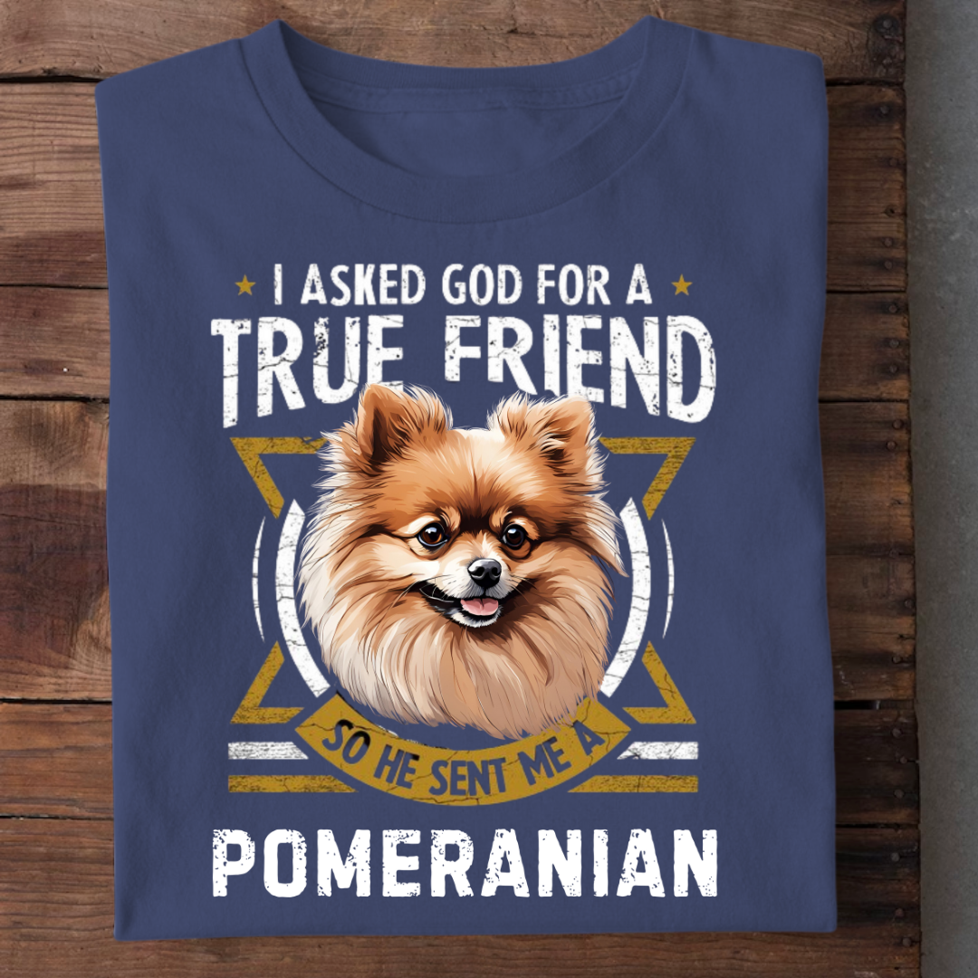 TRUE FRIEND POMERANIAN