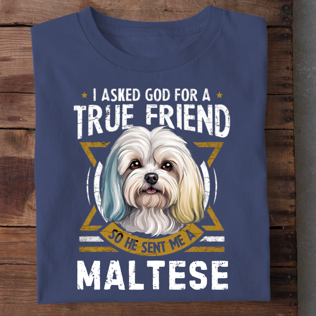 TRUE FRIEND MALTESE