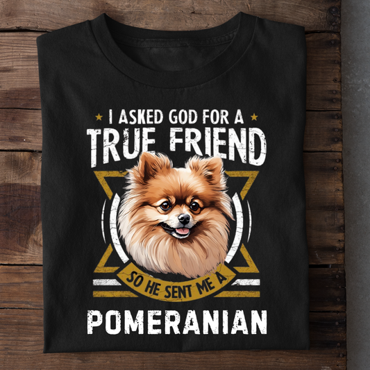 TRUE FRIEND POMERANIAN