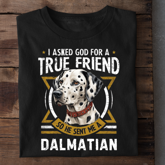 TRUE FRIEND DALMATIAN