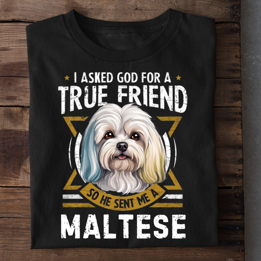 TRUE FRIEND MALTESE