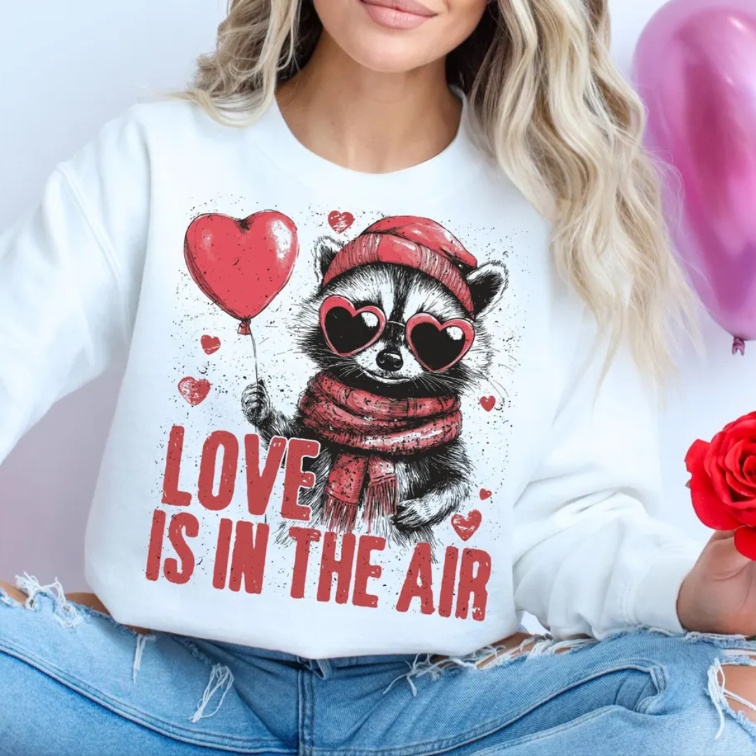 LOVE IS IN THE AIR SWEATSHIRT